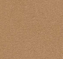 Ковролин Radici Nexus Gazzella 8203 фото 1 | FLOORDEALER